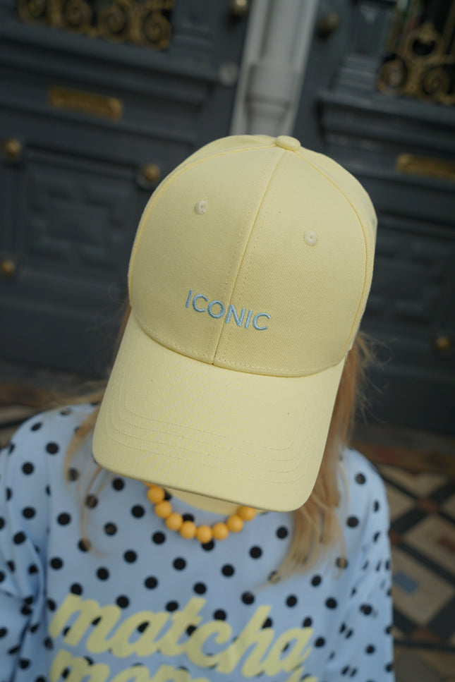PET ICONIC GEEL