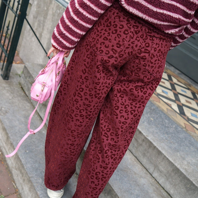 CARROT FIT JEANS GUUSJE PANTER BORDEAUX - Hip is het