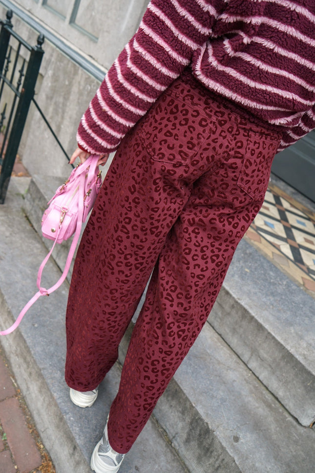 CARROT FIT JEANS GUUSJE PANTER BORDEAUX - Hip is het