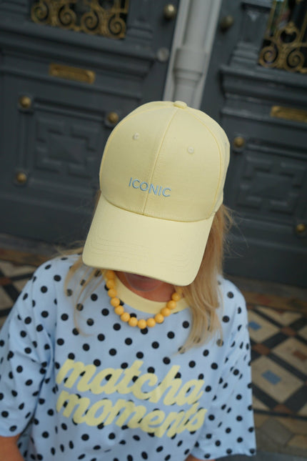 PET ICONIC GEEL - Hipishet