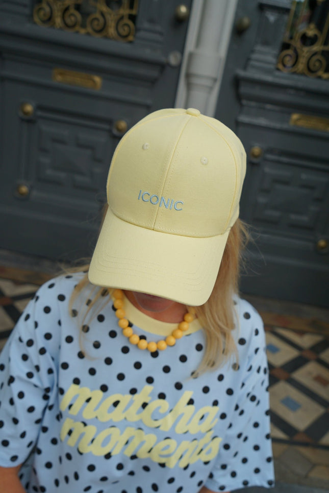 PET ICONIC GEEL - Hipishet