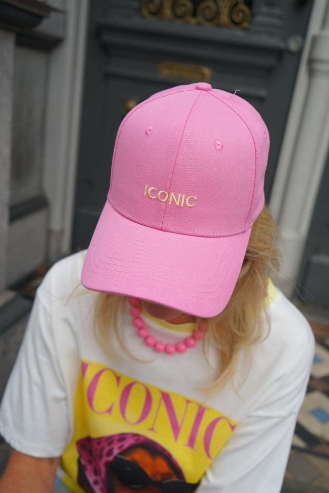 PET ICONIC ROZE - Hipishet