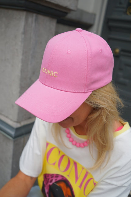 PET ICONIC ROZE - Hipishet