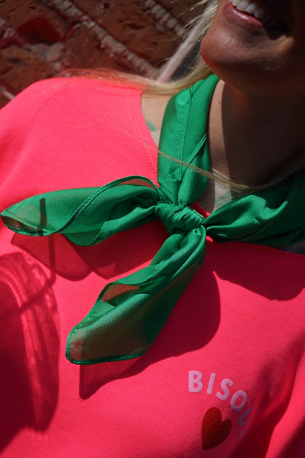 SATIJNEN SJAALTJE GROEN - Hipishet