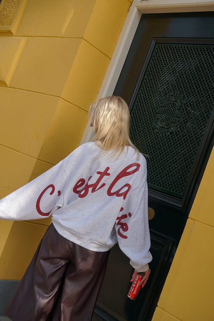 SWEATER C'EST LAVIE GRIJS - Hip is het