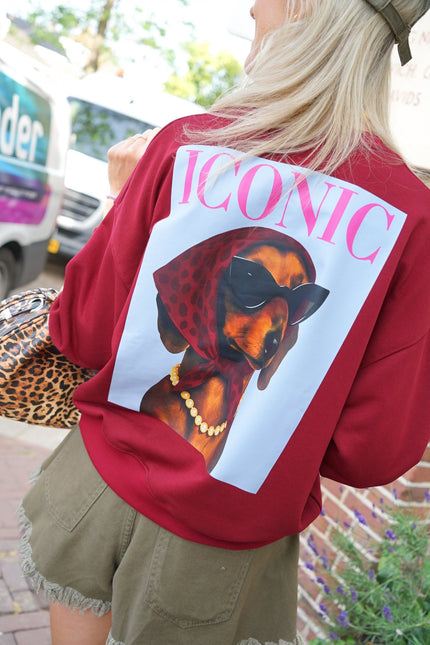 SWEATER DOG ICONIC BORDEAUX - Hipishet