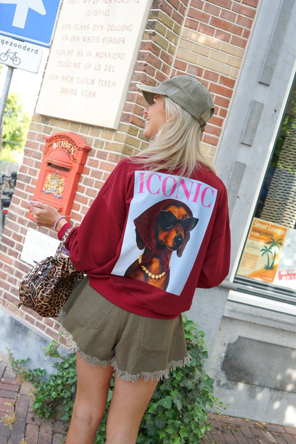 SWEATER DOG ICONIC BORDEAUX - Hipishet