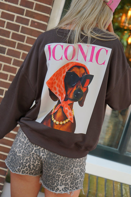 SWEATER DOG ICONIC BRUIN - Hipishet