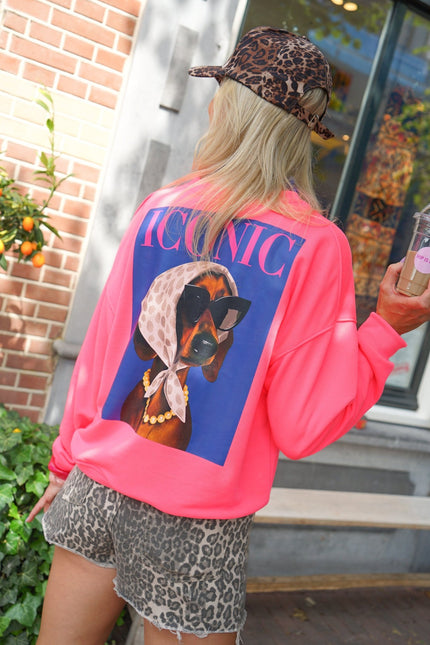 SWEATER DOG ICONIC NEONROZE - Hipishet