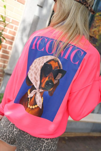 SWEATER DOG ICONIC NEONROZE - Hipishet