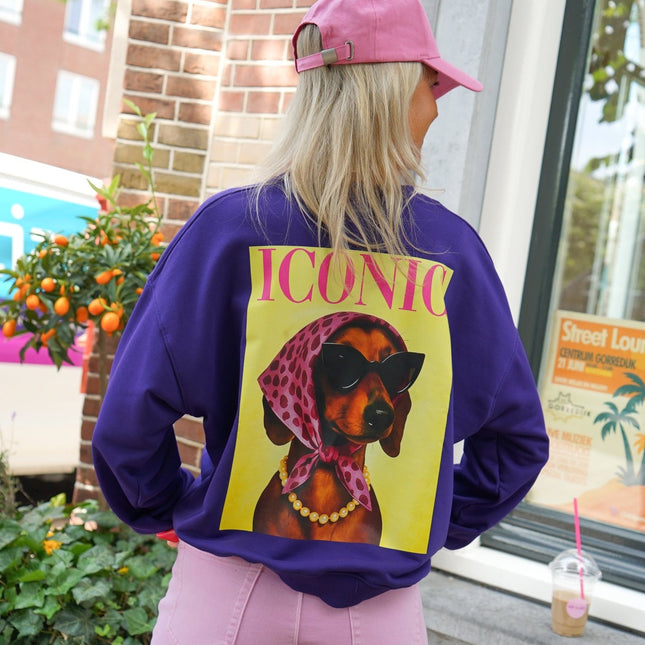 SWEATER DOG ICONIC PAARS - Hipishet
