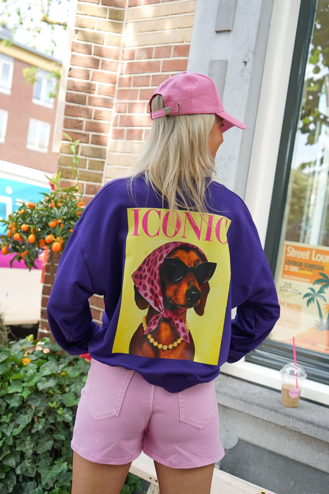 SWEATER DOG ICONIC PAARS - Hipishet