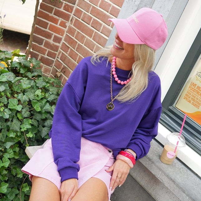 SWEATER DOG ICONIC PAARS - Hipishet