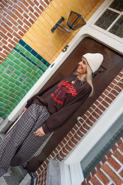 SWEATER VINTAGE BRUIN - Hip is het