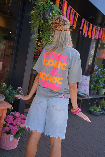 T - SHIRT ICONIC GRIJS - Hipishet