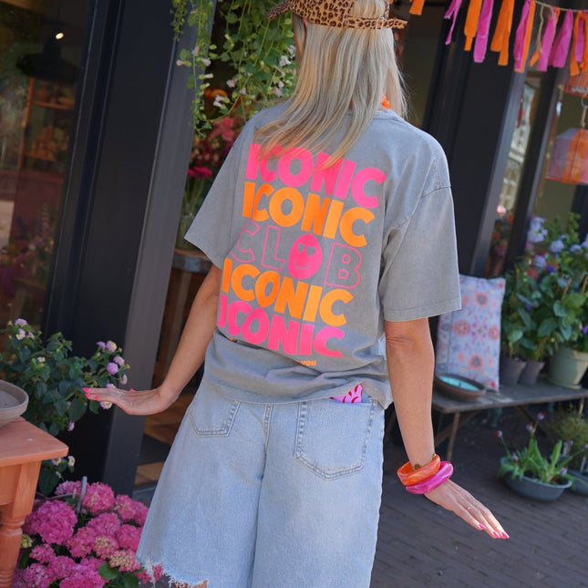 T - SHIRT ICONIC GRIJS - Hipishet