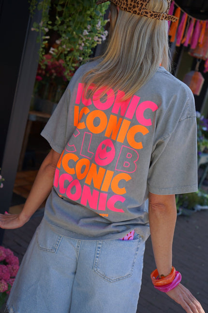 T - SHIRT ICONIC GRIJS - Hipishet