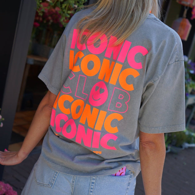T - SHIRT ICONIC GRIJS - Hipishet