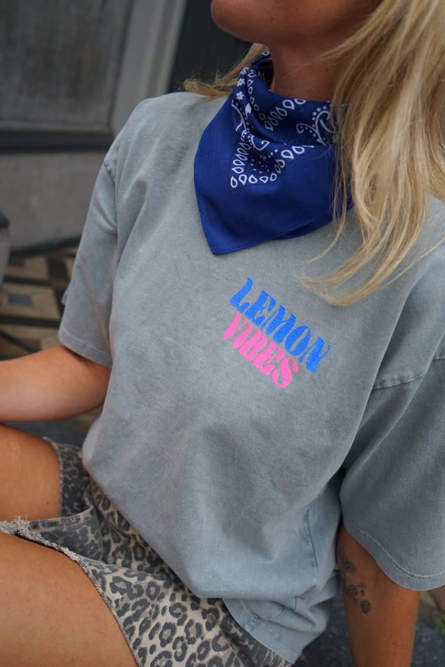 T - SHIRT LEMON VIBES GRIJS - Hipishet